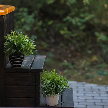 Forest Holiday home Haapsalu