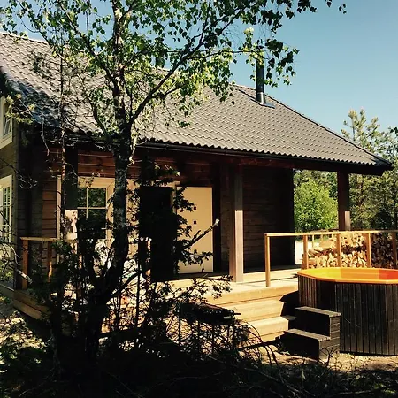 Forest Haapsalu