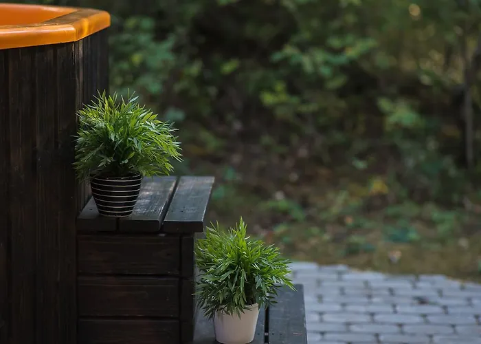 Forest Holiday home Haapsalu